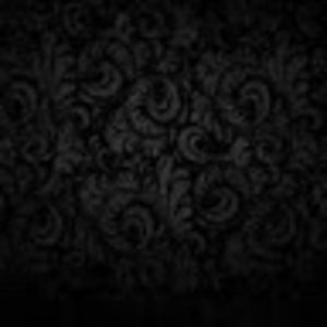 Meet your Posher, Allie